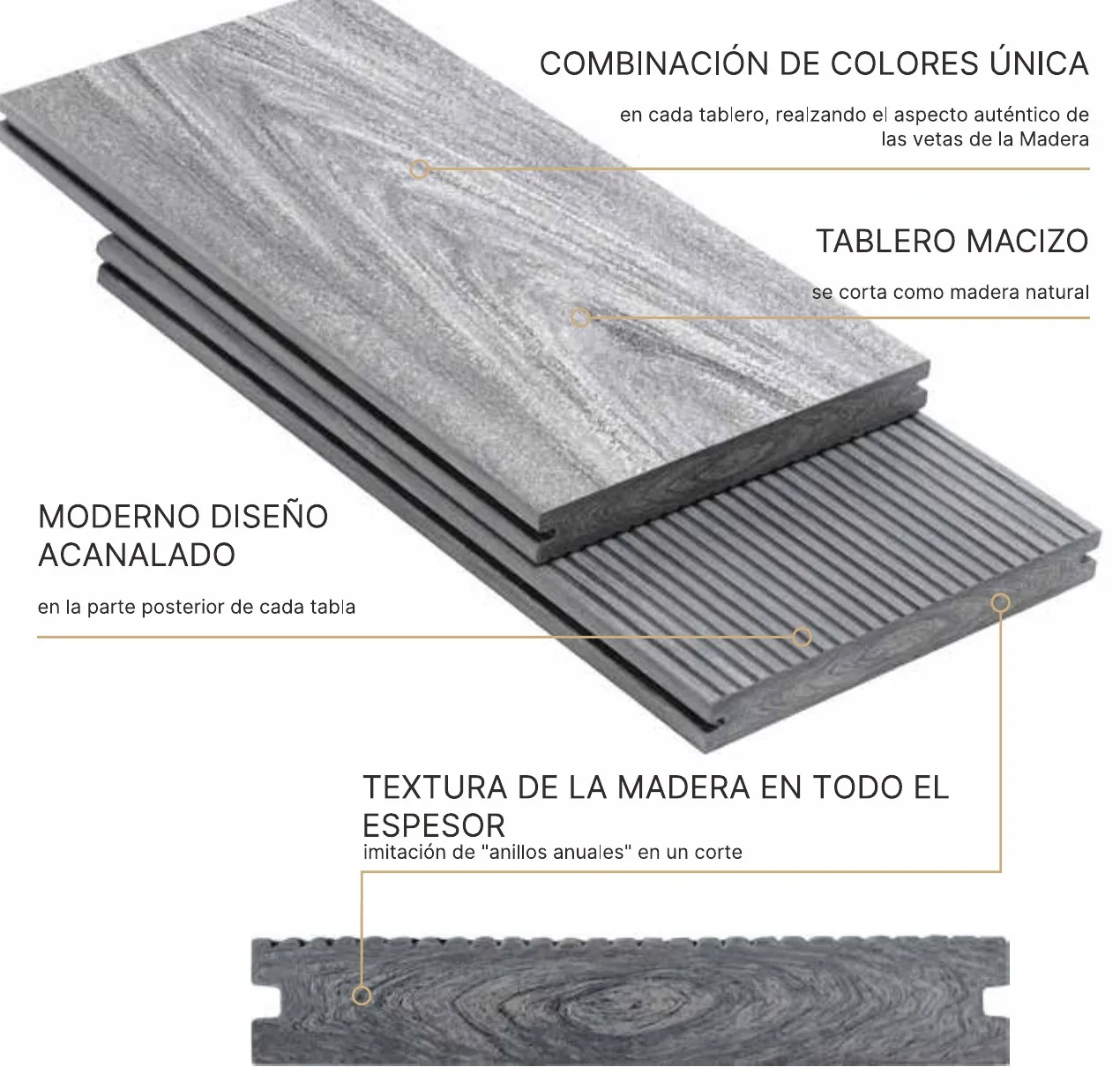 Tabla Bruggan MultiColor en sección: maciza, con la veta en todo el espesor